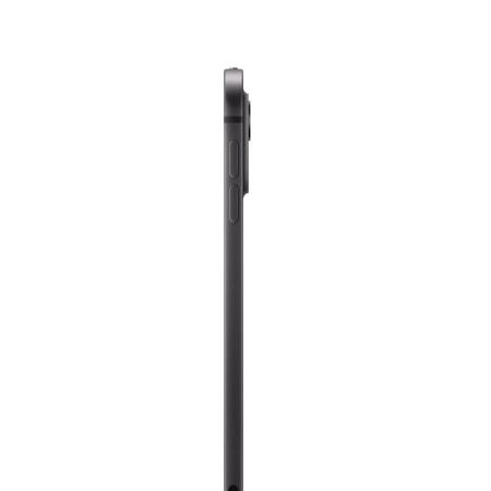 Apple iPad Pro 11" (M4, 2024, 7 gen) Wi-Fi 256Gb Space Black, «чёрный космос»