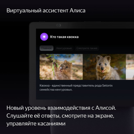 Умная колонка Яндекс.Станция Дуо Макс (Алиса) Красный