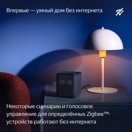 Умная колонка Яндекс.Станция Миди (Алиса) Оранжевая