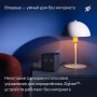 Умная колонка Яндекс.Станция Миди (Алиса) Оранжевая